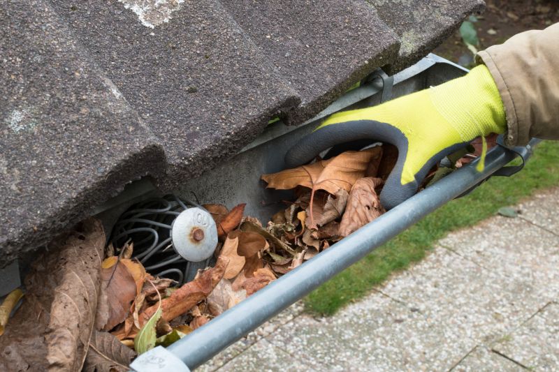 Clean Gutter System