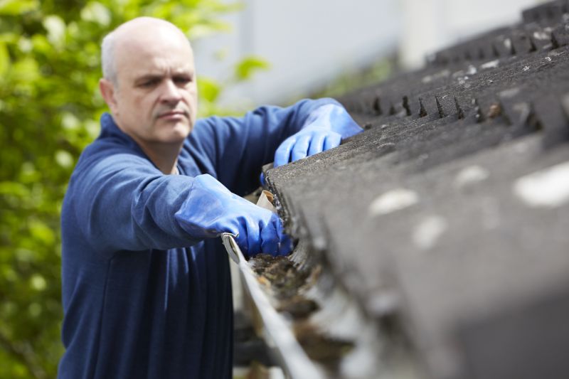 Gutter Maintenance Services